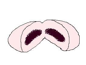 小豆色?小倉色?どっちでもいいけど割ってみた。