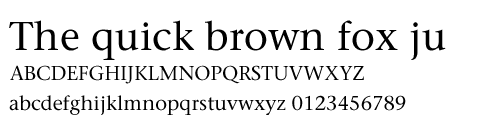 Stone Serif